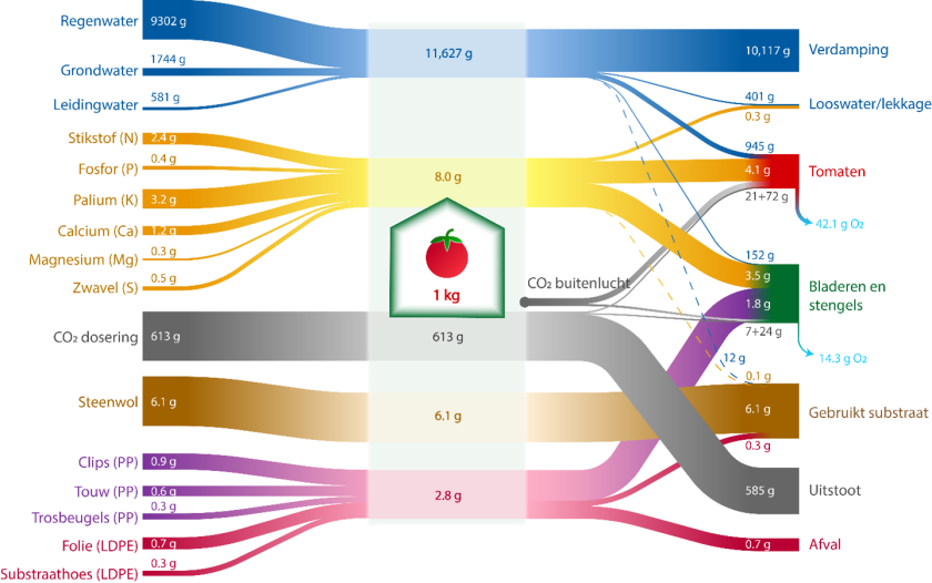 Materiaalstroomdiagram van water, meststoffen, CO2, substraat en plastic voor een tomatenteelt in Nederland. Let op; binnen 1 type materiaalstroom kan de grootte van verschillende stromen worden vergeleken. Zo is bijvoorbeeld te zien dat van de meststoffen, kalium het meest gebruikt wordt en magnesium het minst. Tussen verschillende materiaalstromen kan de grootte van stromen niet worden vergeleken. Er is voor deze visualisatiemethode gekozen omdat water verreweg de grootste stroom is, waardoor de andere materiaalstromen verwaarloosbaar klein zouden moeten worden afgebeeld. Bron: Van Tuyll, Boedijn et al. (2022)  