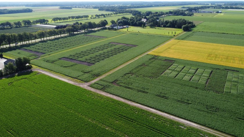 Luchtfoto Marwijksoord