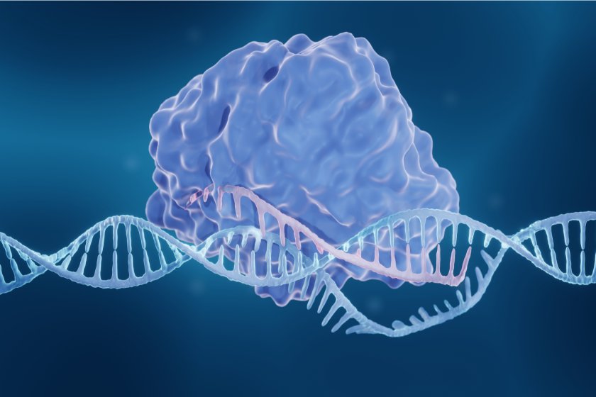 Het CRISPR-systeem