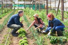 Collaboration between scientists and growers.