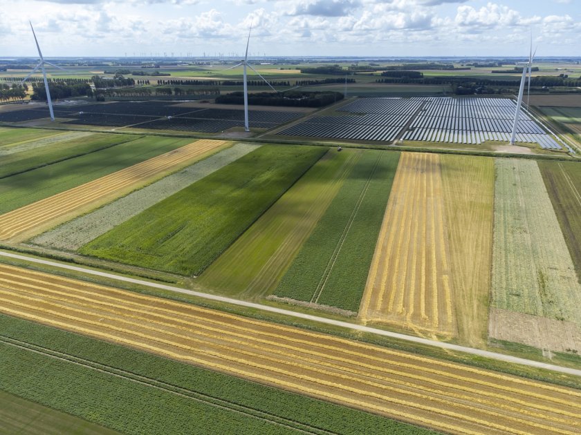 In gemengde teeltsystemen worden veel verschillende soorten gewassen samen geteeld. Foto: HAKO fotografie.