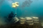 4. Construction of an artificial coral reef in Kenya - photo Ewout Knoester