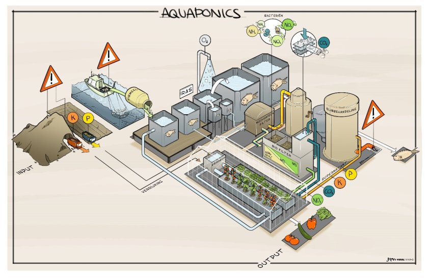 Schets van een aquaponic systeem; een cross-over tussen de glastuinbouw en visteelt.